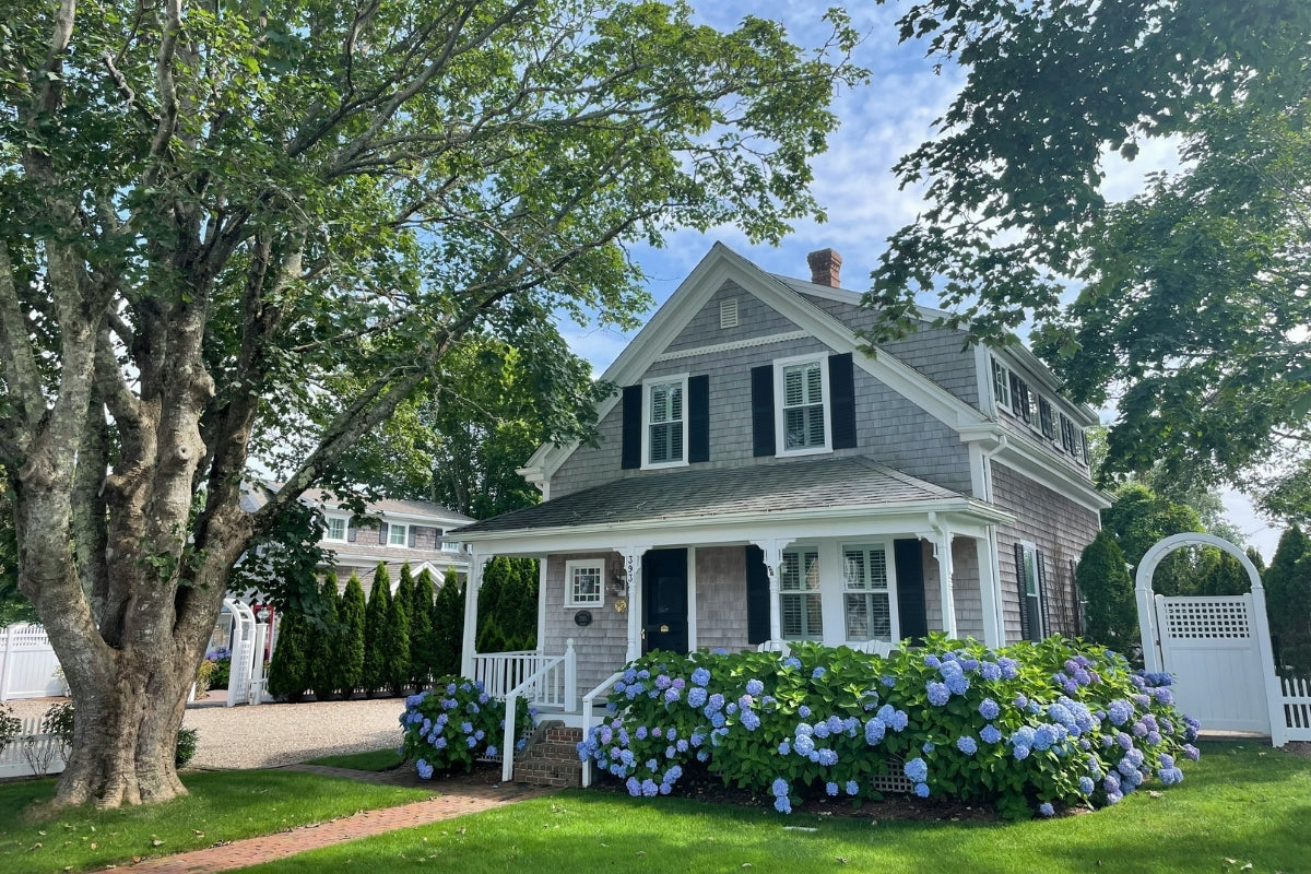 A home with blue flowers and green grass in the front yard.