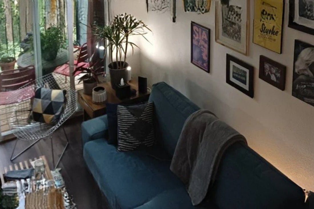 A cozy living room with a couch, a chair, house plants, and prints on the wall.