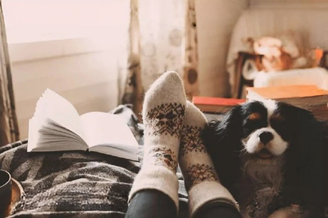 A person's feet up on an ottoman with an open book, King Charles Cavalier, and a cup of coffee.