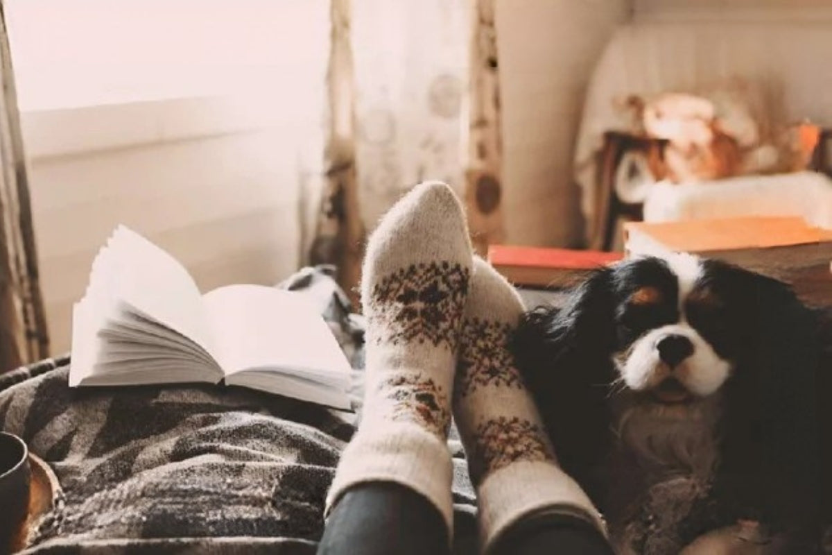 A person's feet up on an ottoman with an open book, King Charles Cavalier, and a cup of coffee.