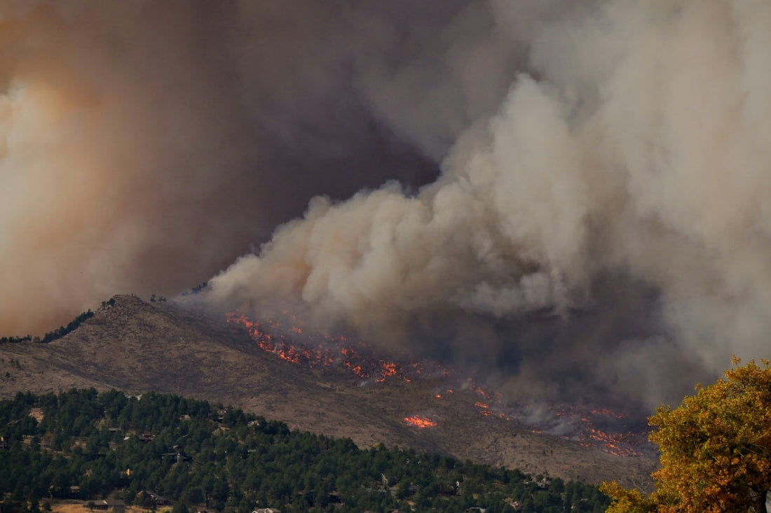 A wildfire burning in the background with smoke surrounding a small town.