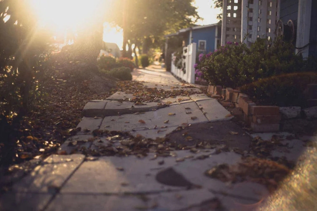 A sloped and cracked side walk with leaves scattered along it.